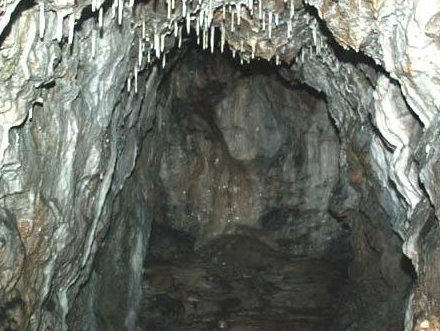ochtinna-kras
size: 53066 bajtů, 440 x 331 px. obrázek ochtinna-kras