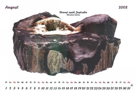 obrázek dreveny opal
