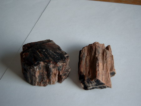 size: 37074 bajtů, 450 x 338 px. obrázek