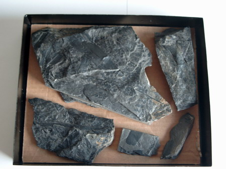 size: 54903 bajtů, 450 x 338 px. obrázek