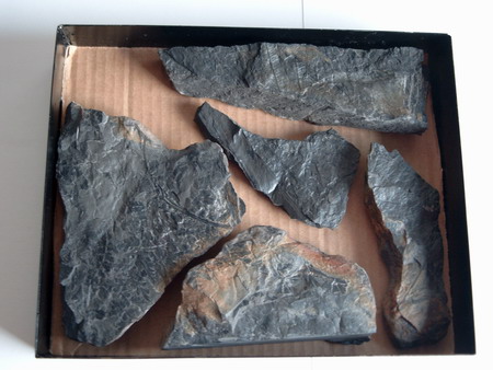 size: 59732 bajtů, 450 x 338 px. obrázek