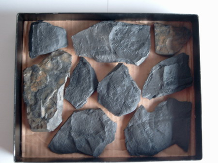 size: 52622 bajtů, 450 x 338 px. obrázek