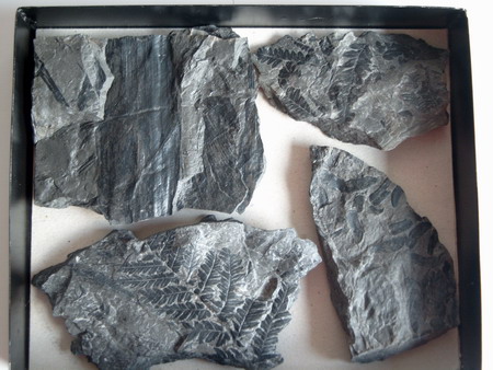 size: 70466 bajtů, 450 x 338 px. obrázek