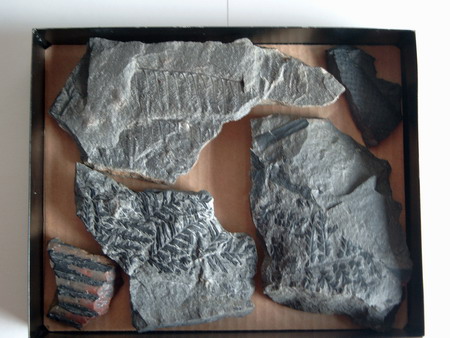 size: 61841 bajtů, 450 x 338 px. obrázek