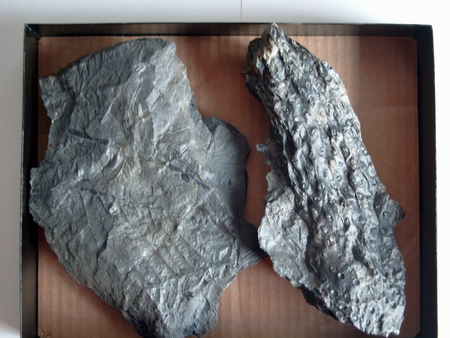 size: 64151 bajtů, 450 x 338 px. obrázek