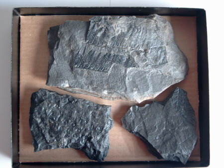 size: 61527 bajtů, 450 x 338 px. obrázek