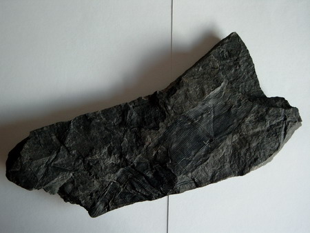 size: 45032 bajtů, 450 x 338 px. obrázek