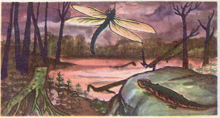 karbon
size: 53324 bajtů, 450 x 241 px. obrázek karbon